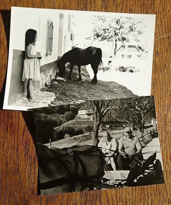 Rumänien Juli 2022, Mädchen mit Pferd und Pferdewagen ohne Pferd :-)